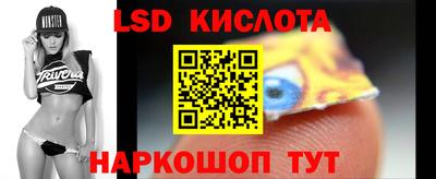 гашик Моздок