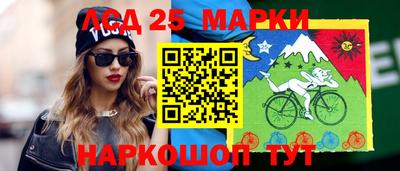гашик Моздок