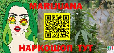 гашик Моздок