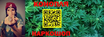гашик Моздок