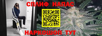 mdpv Можга