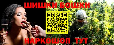 гашик Моздок