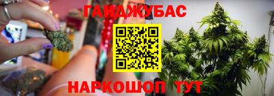 mdpv Можга