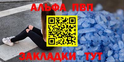 гашик Моздок