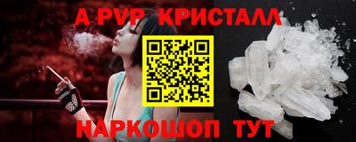 гашик Моздок