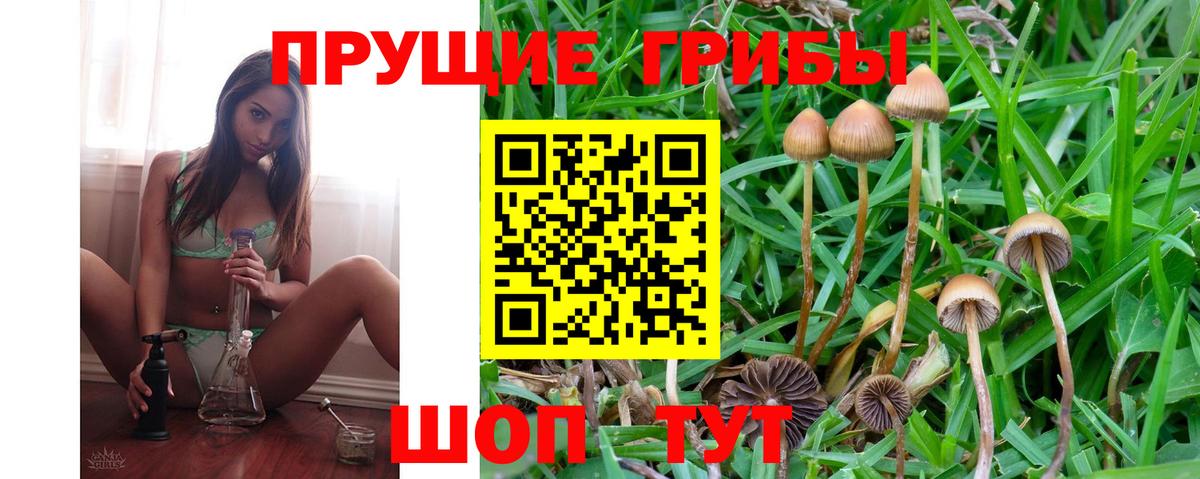Псилоцибиновые грибы ЛСД Баксан